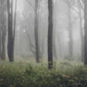 Meet your Posher, Aries!